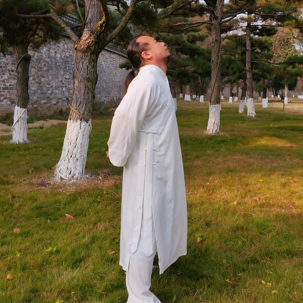 24min Qi-Flow Shoulder-Scapula Stretches