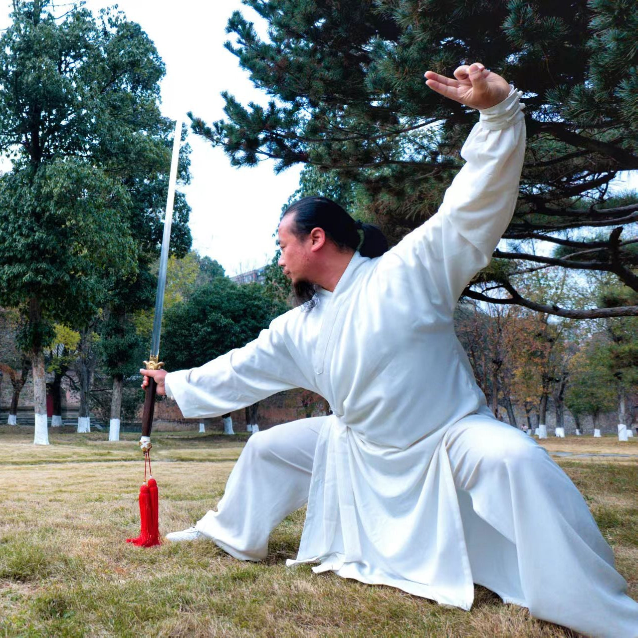 Gentle movements to harmonize the five internal organs and regulate the flow of vital energy.